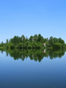 Imagen de hermoso bosque muy cerca de un lago
