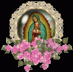 Fotos de la Virgen de Guadalupe con rosas