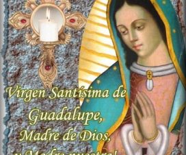 Imagen de la Virgen de Guadalupe con frases