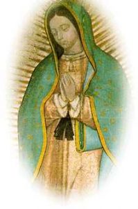 Imágenes de la Virgen de Guadalupe para Facebook